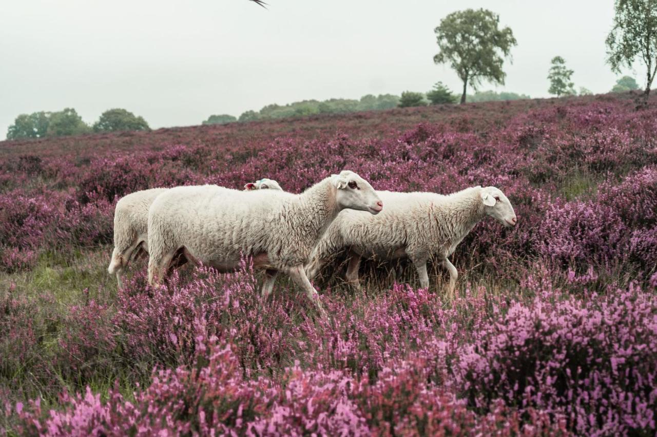 Veluwe Hotel De Beyaerd フルスホルスト エクステリア 写真