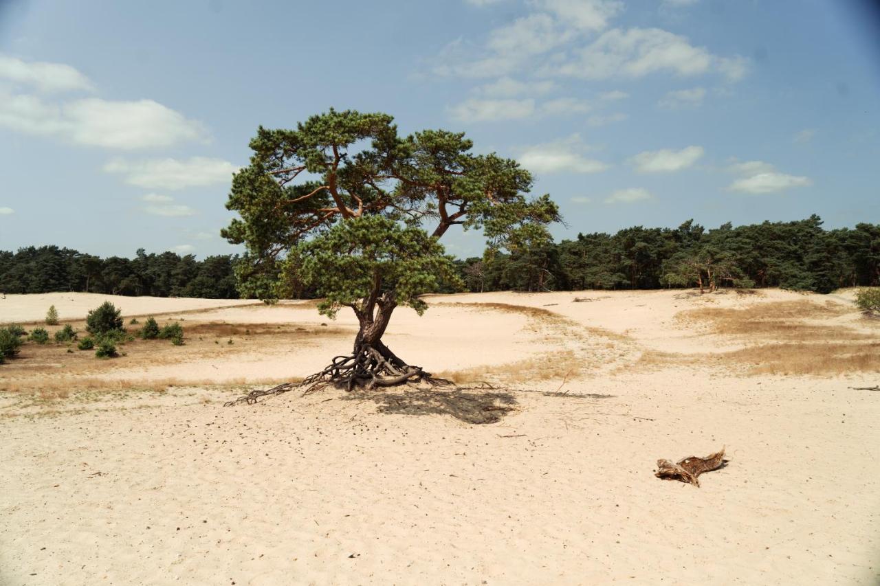 Veluwe Hotel De Beyaerd フルスホルスト エクステリア 写真